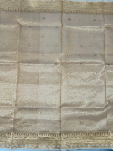 Banarasi Kora Tissue Organza Silk Saree | Golden Beige | Gold Zari | Handwoven | Ships from California